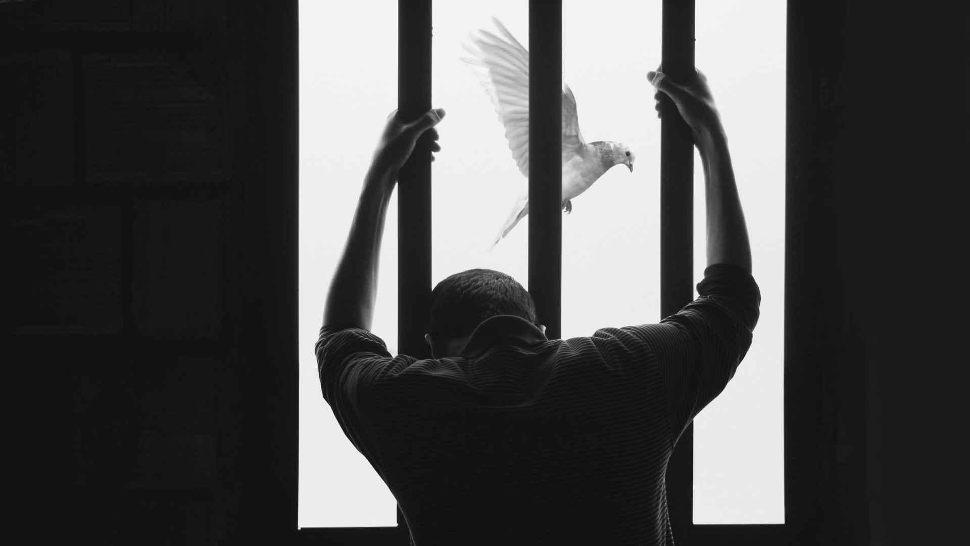 man behind bars with bird